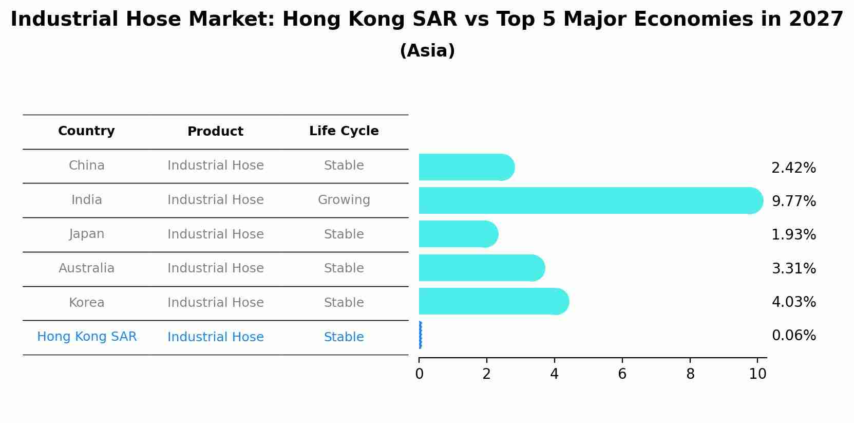 Industrial Hose Market: Hong Kong SAR vs Top 5 Major Economies in 2027 (Asia)