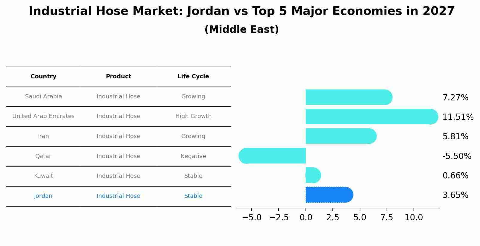 Industrial Hose Market: Jordan vs Top 5 Major Economies in 2027 (Middle East)