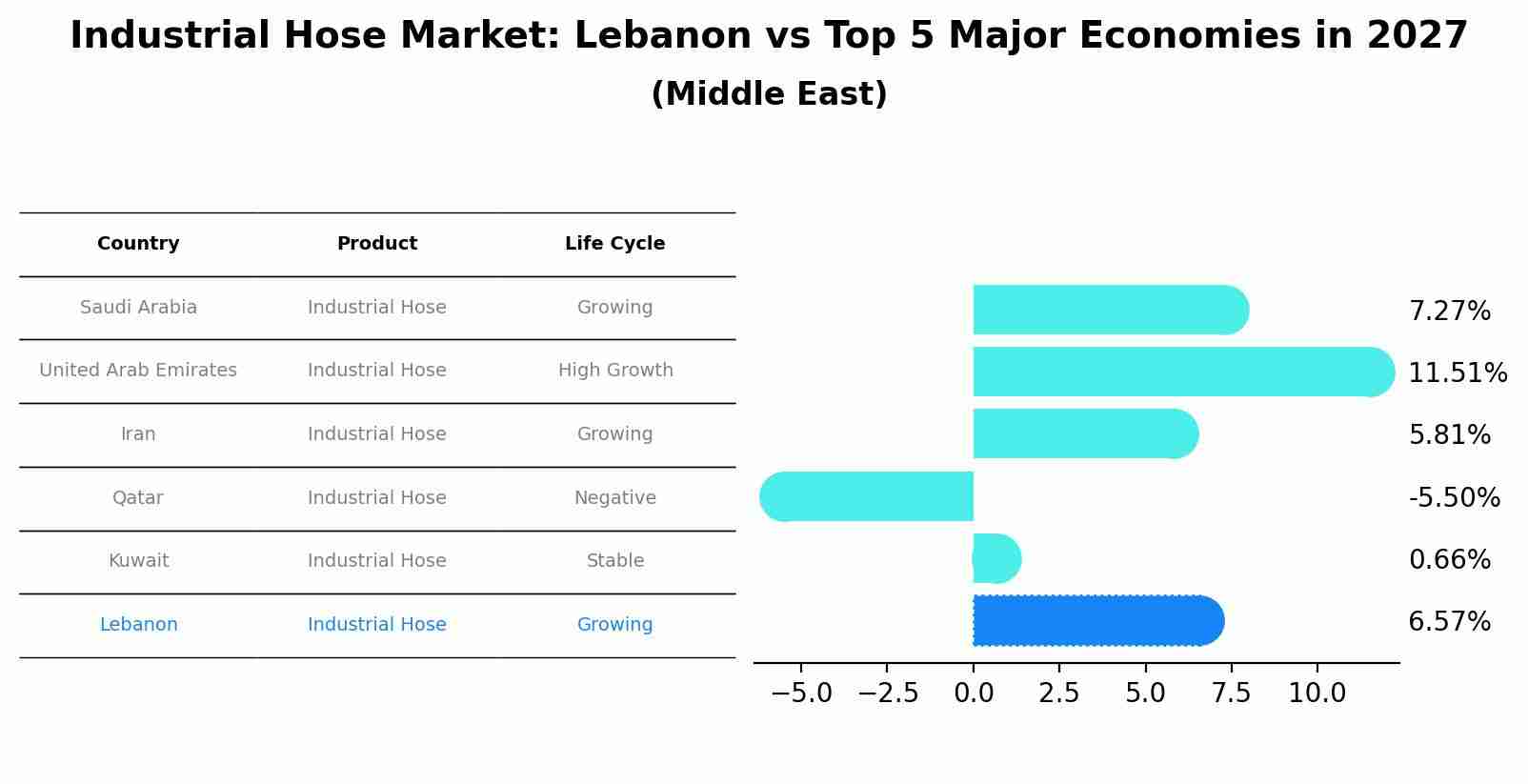 Industrial Hose Market: Lebanon vs Top 5 Major Economies in 2027 (Middle East)