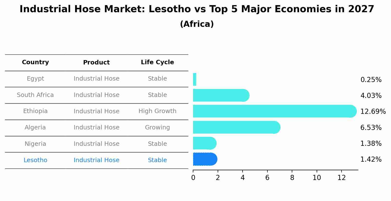 Industrial Hose Market: Lesotho vs Top 5 Major Economies in 2027 (Africa)