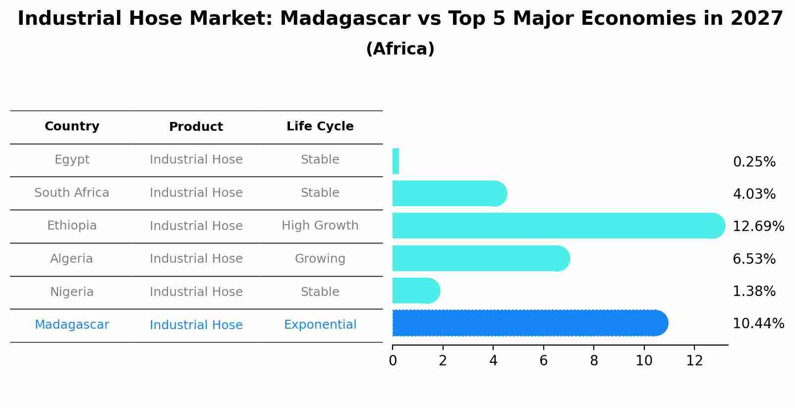 Industrial Hose Market: Madagascar vs Top 5 Major Economies in 2027 (Africa)