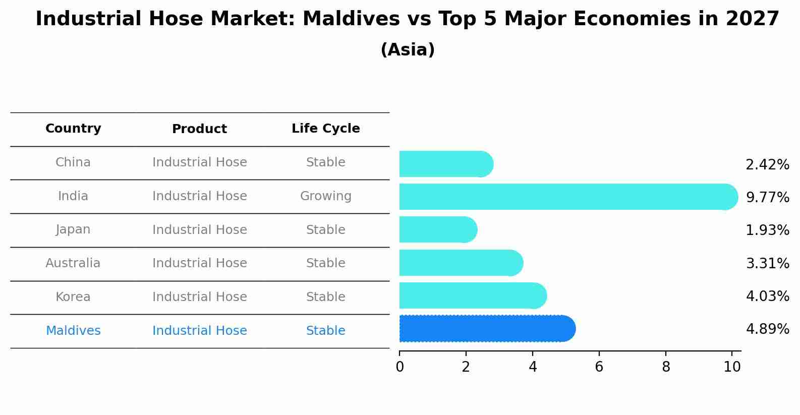 Industrial Hose Market: Maldives vs Top 5 Major Economies in 2027 (Asia)