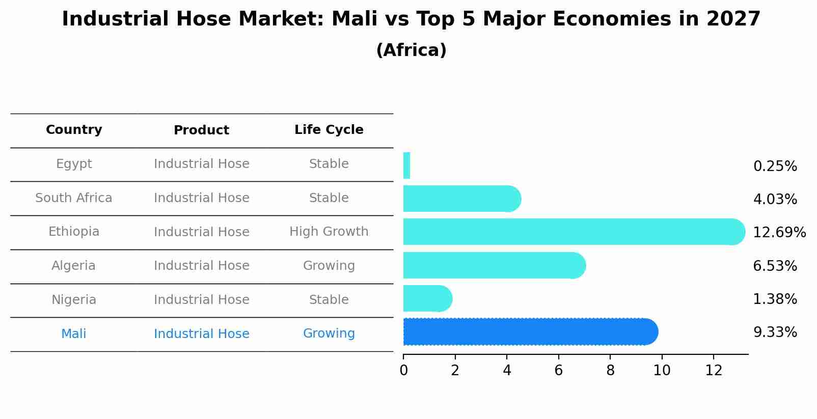 Industrial Hose Market: Mali vs Top 5 Major Economies in 2027 (Africa)