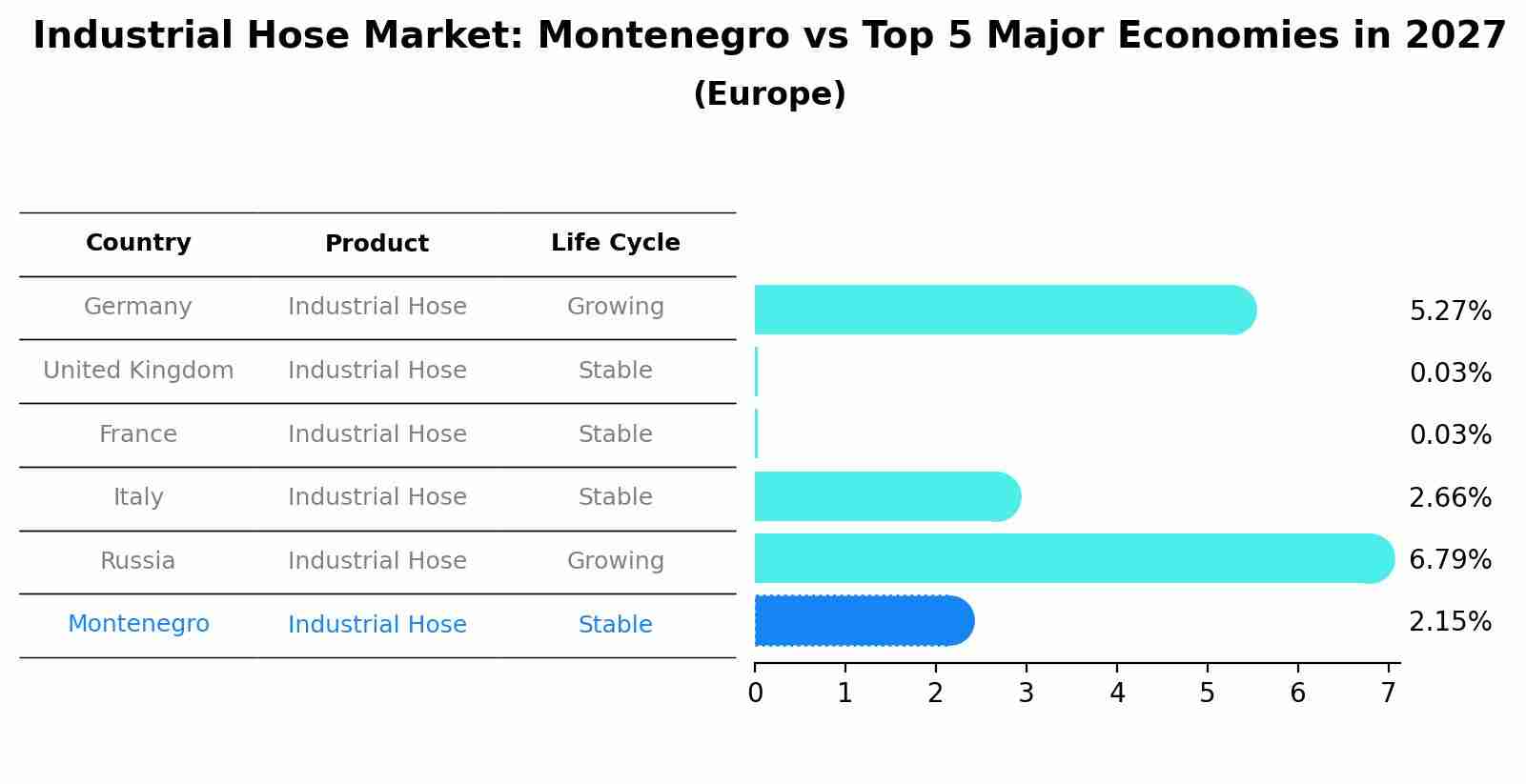 Industrial Hose Market: Montenegro vs Top 5 Major Economies in 2027 (Europe)