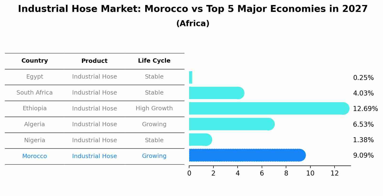 Industrial Hose Market: Morocco vs Top 5 Major Economies in 2027 (Africa)