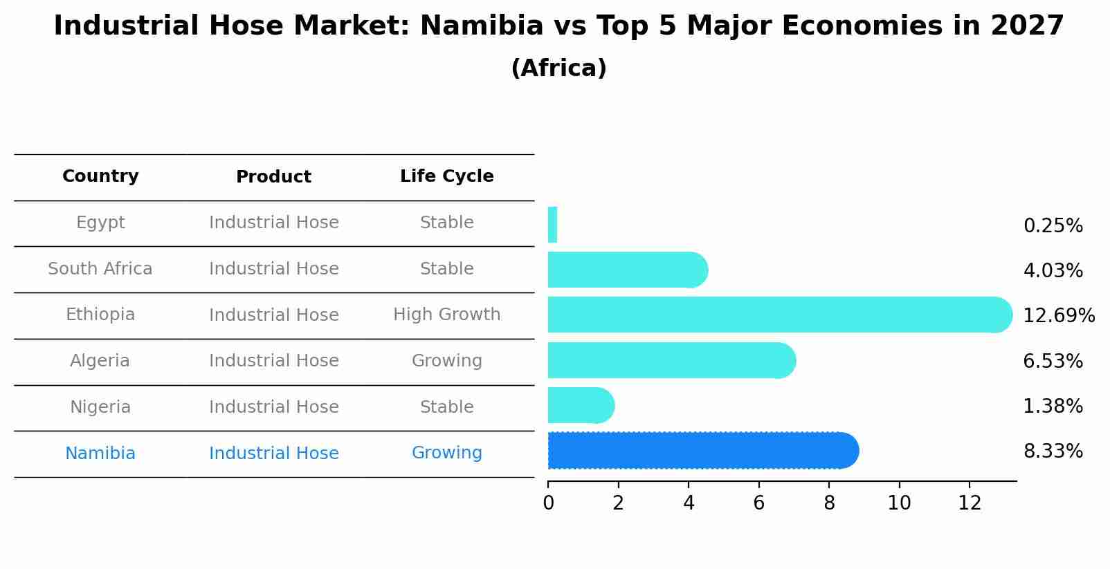 Industrial Hose Market: Namibia vs Top 5 Major Economies in 2027 (Africa)
