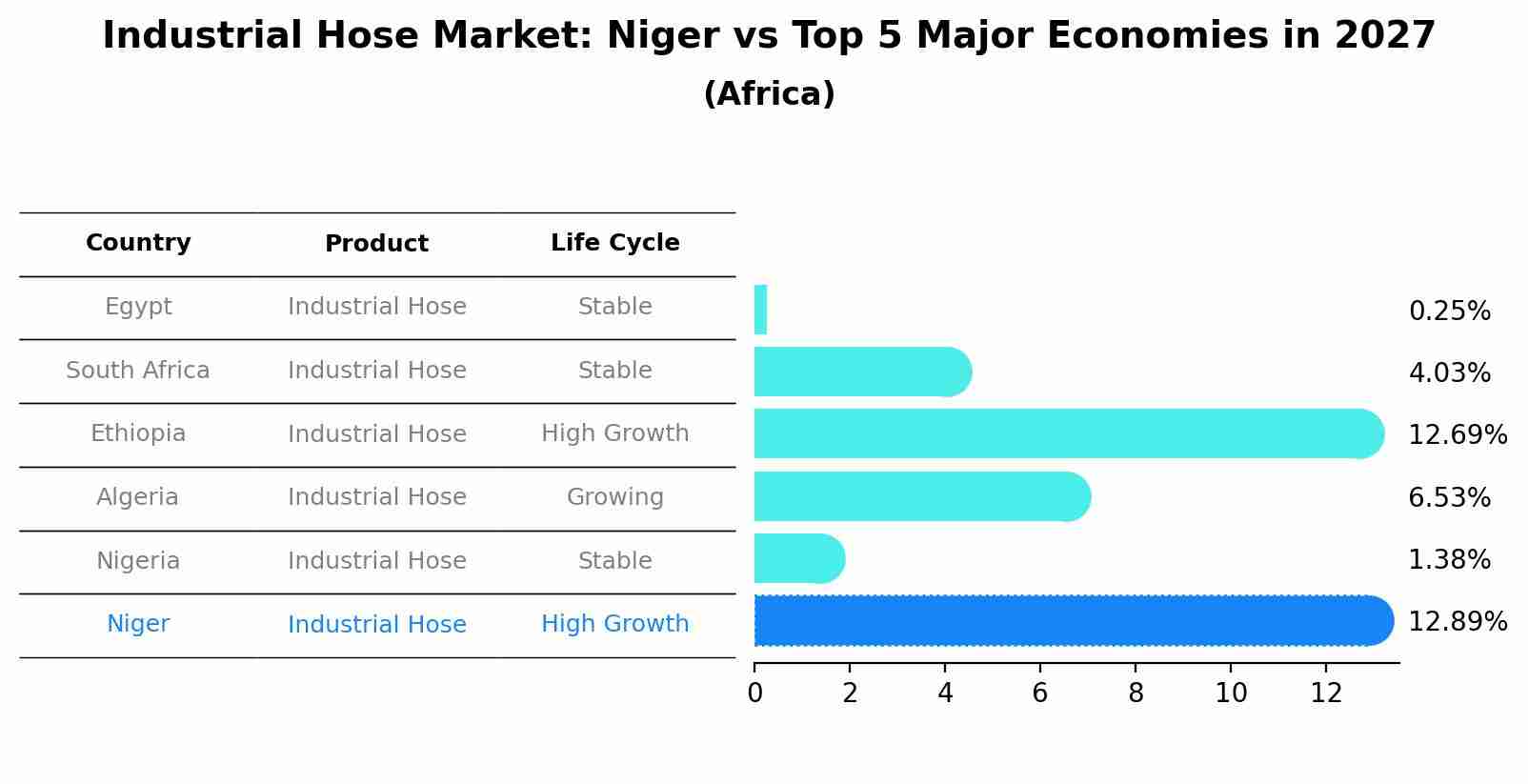 Industrial Hose Market: Niger vs Top 5 Major Economies in 2027 (Africa)