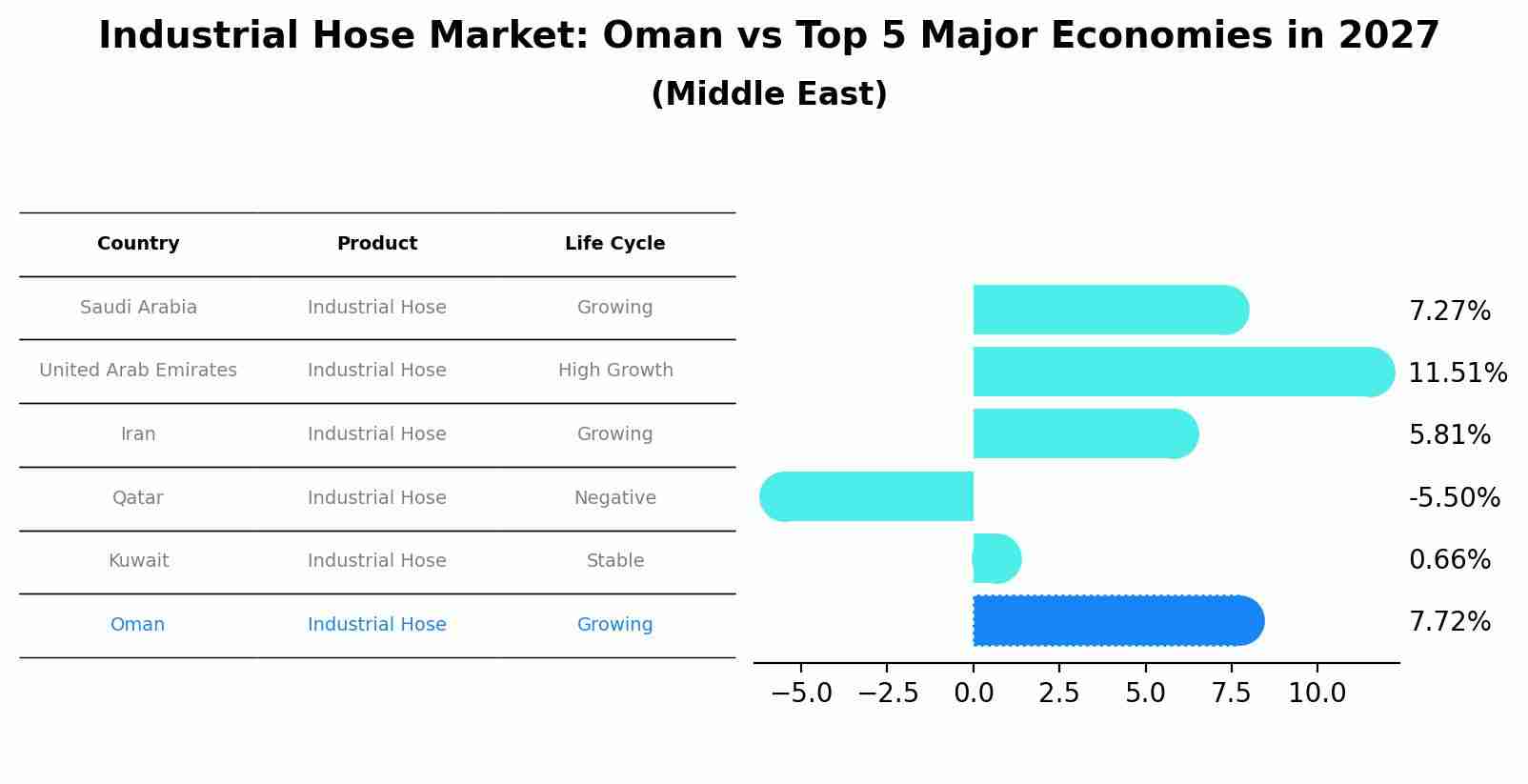 Industrial Hose Market: Oman vs Top 5 Major Economies in 2027 (Middle East)