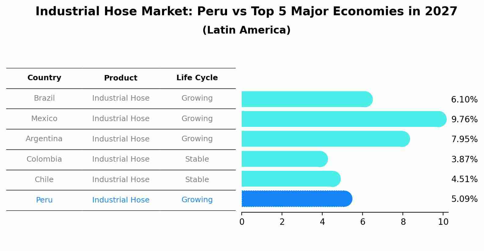 Industrial Hose Market: Peru vs Top 5 Major Economies in 2027 (Latin America)
