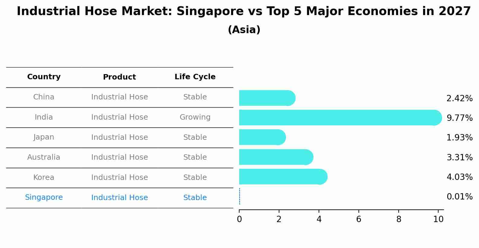 Industrial Hose Market: Singapore vs Top 5 Major Economies in 2027 (Asia)