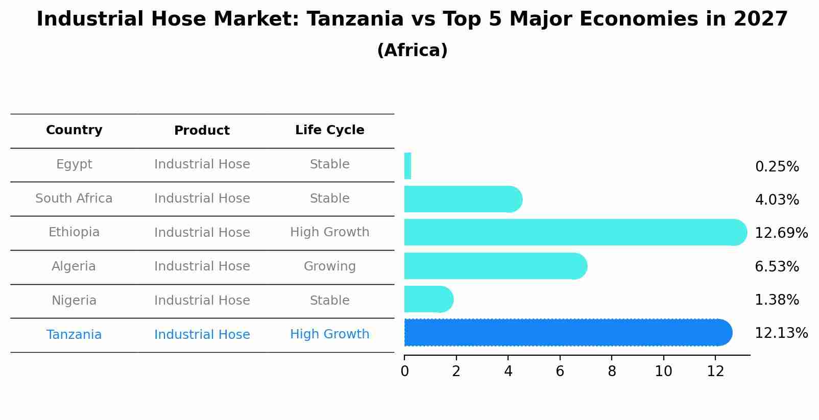 Industrial Hose Market: Tanzania vs Top 5 Major Economies in 2027 (Africa)