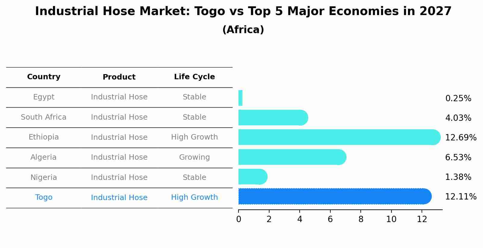 Industrial Hose Market: Togo vs Top 5 Major Economies in 2027 (Africa)