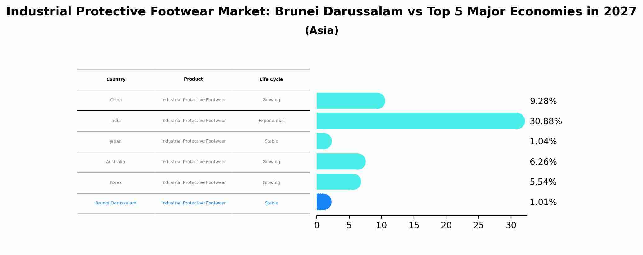 Industrial Protective Footwear Market: Brunei Darussalam vs Top 5 Major Economies in 2027 (Asia)