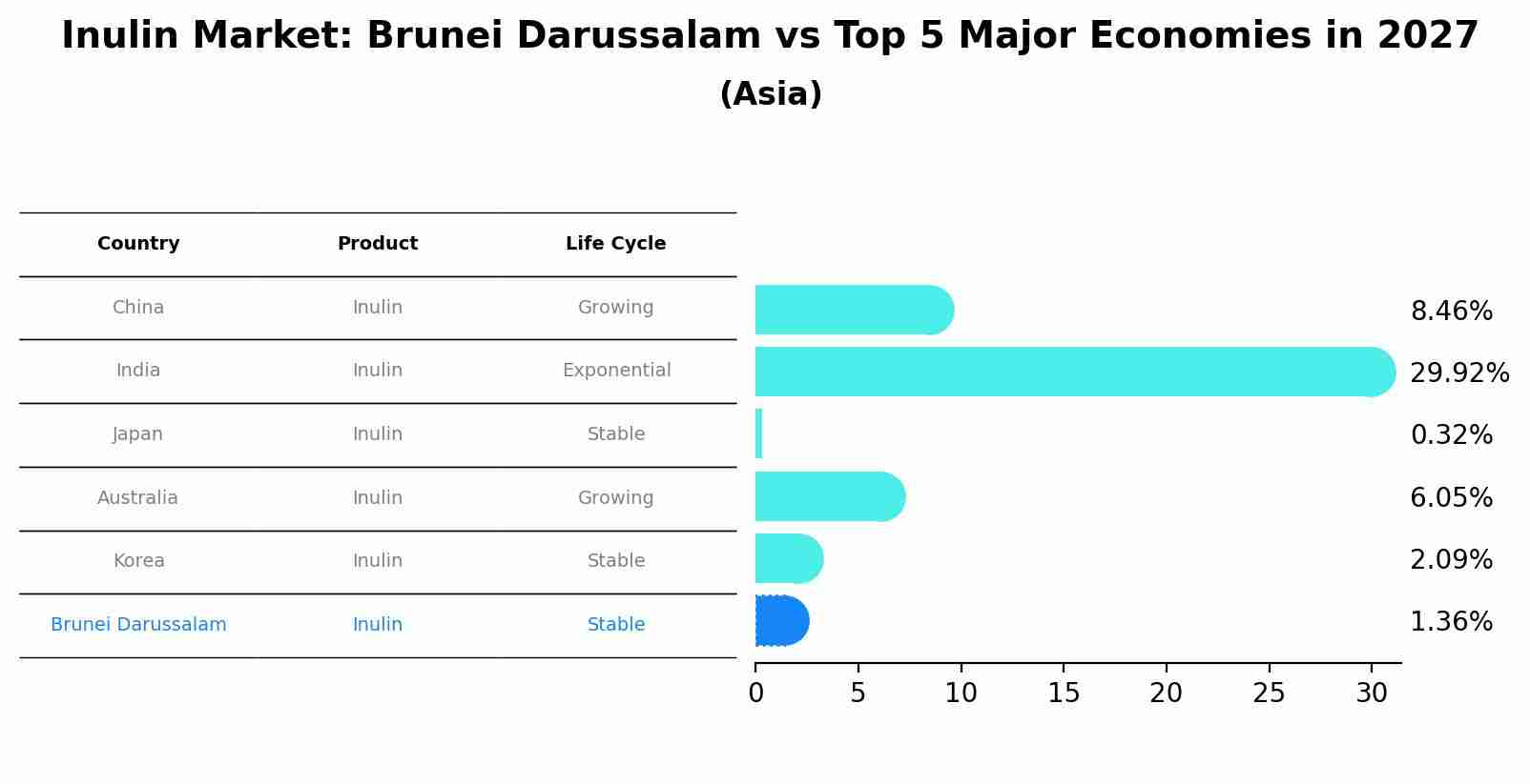 Inulin Market: Brunei Darussalam vs Top 5 Major Economies in 2027 (Asia)