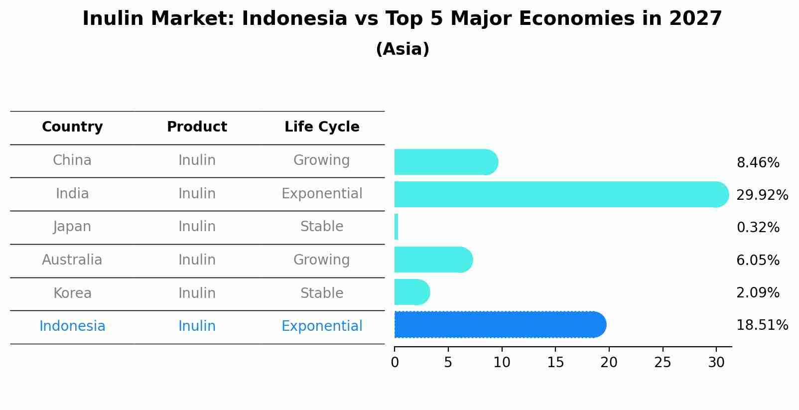 Inulin Market: Indonesia vs Top 5 Major Economies in 2027 (Asia)