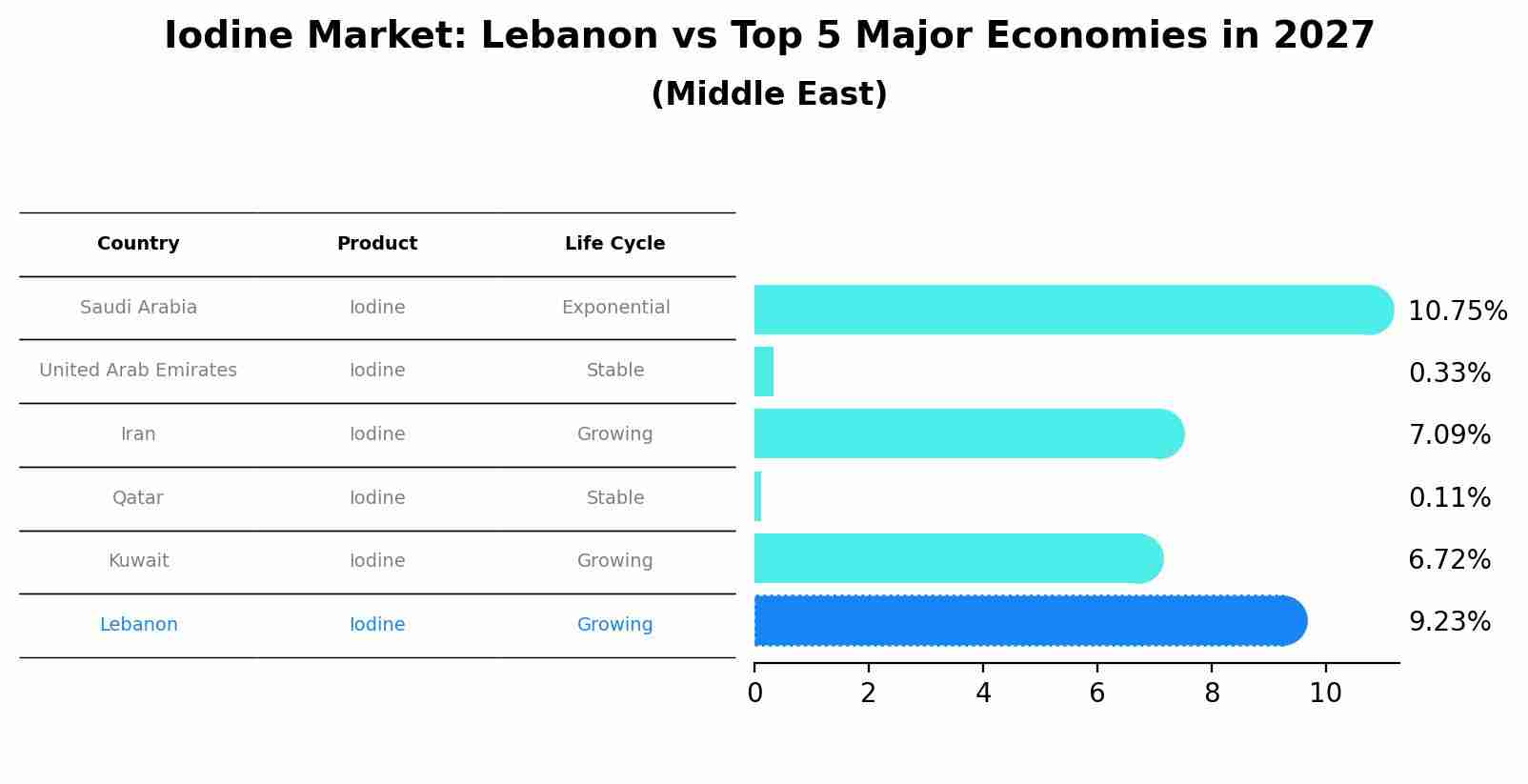 Iodine Market: Lebanon vs Top 5 Major Economies in 2027 (Middle East)