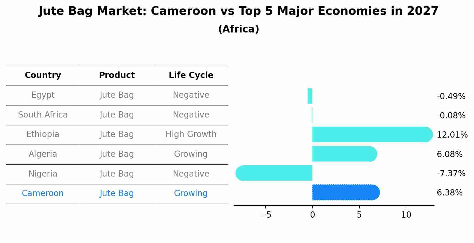 Jute Bag Market: Cameroon vs Top 5 Major Economies in 2027 (Africa)
