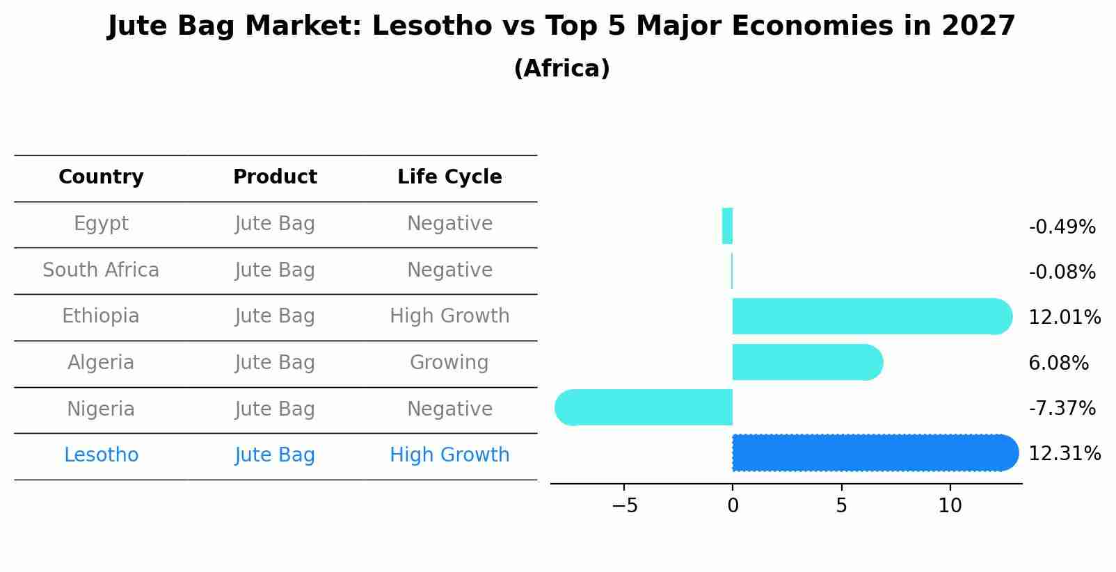 Jute Bag Market: Lesotho vs Top 5 Major Economies in 2027 (Africa)