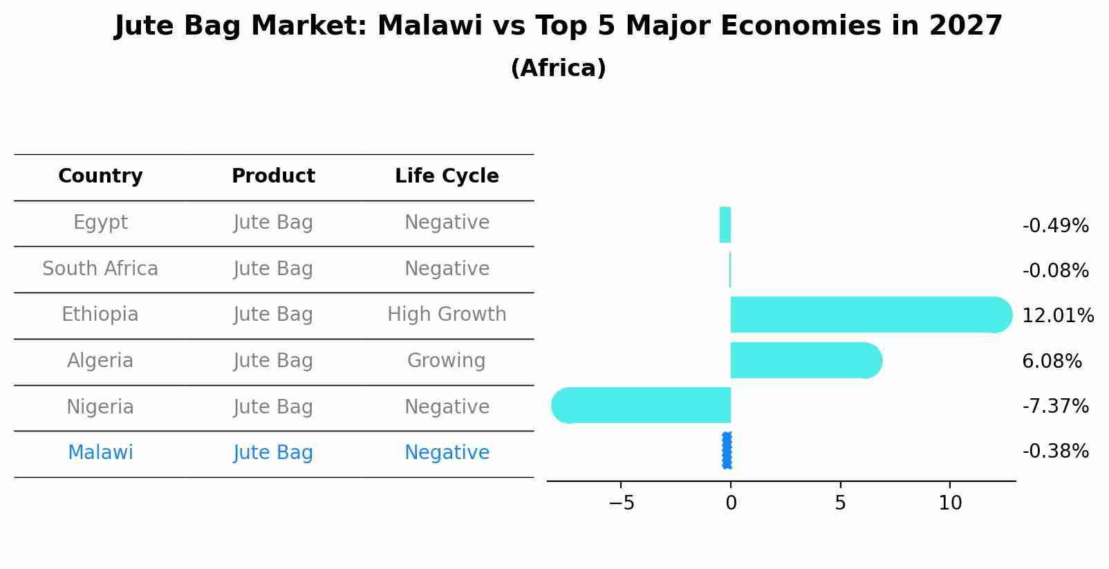 Jute Bag Market: Malawi vs Top 5 Major Economies in 2027 (Africa)