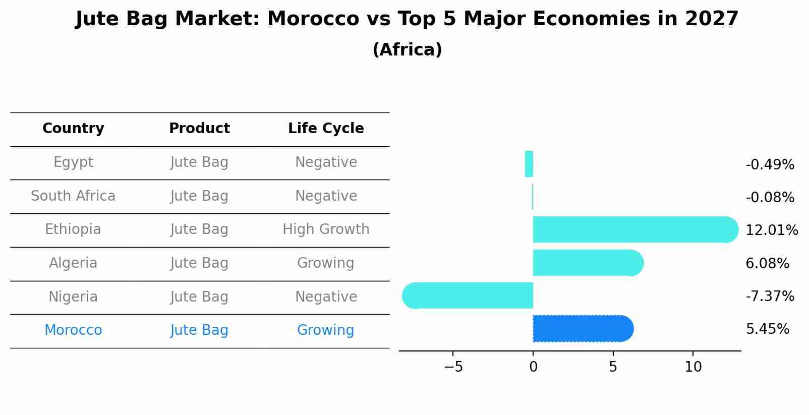 Jute Bag Market: Morocco vs Top 5 Major Economies in 2027 (Africa)