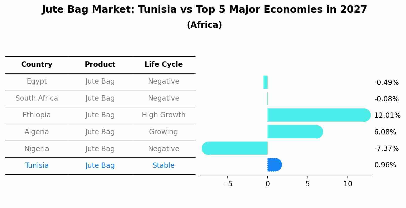 Jute Bag Market: Tunisia vs Top 5 Major Economies in 2027 (Africa)