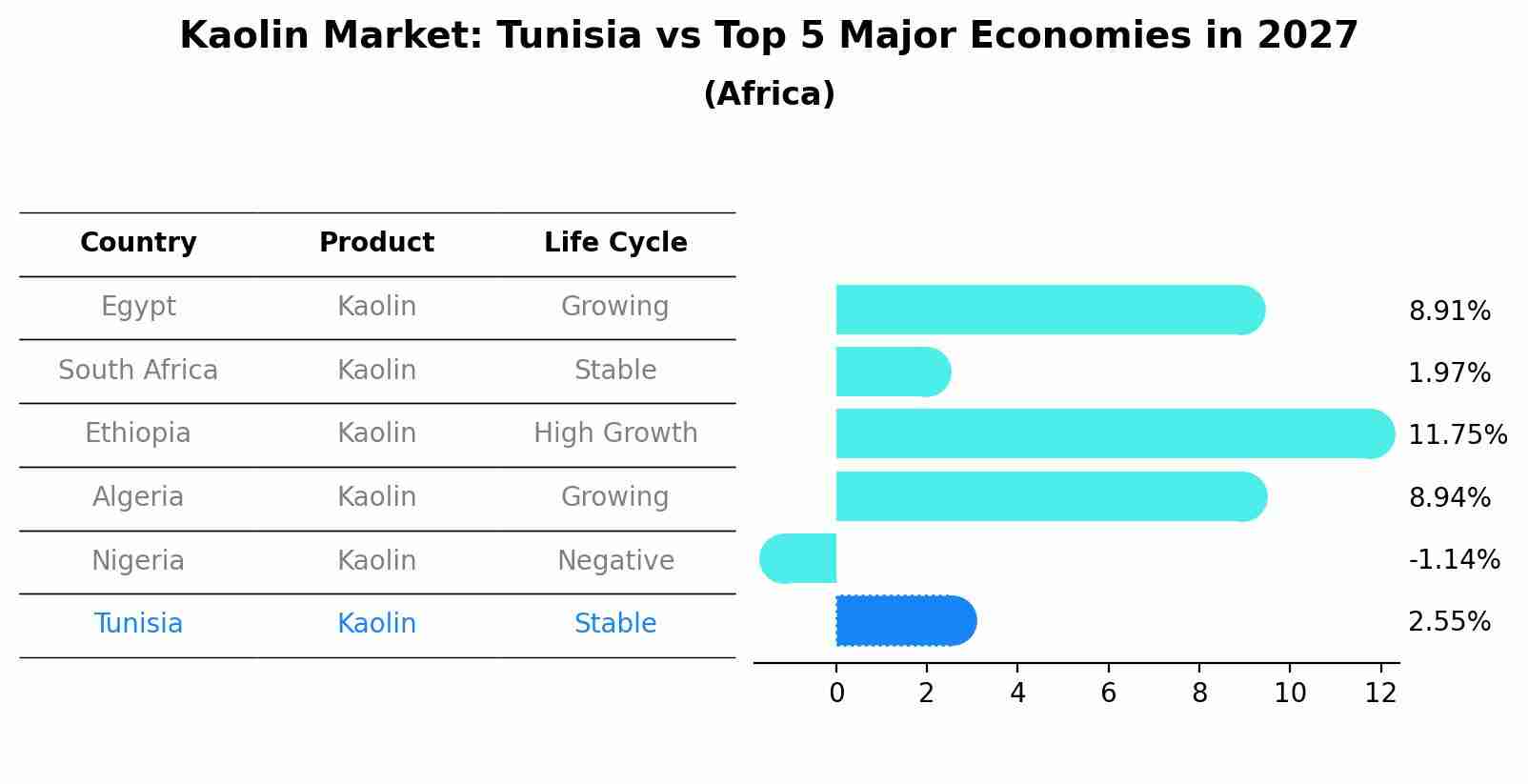 Kaolin Market: Tunisia vs Top 5 Major Economies in 2027 (Africa)