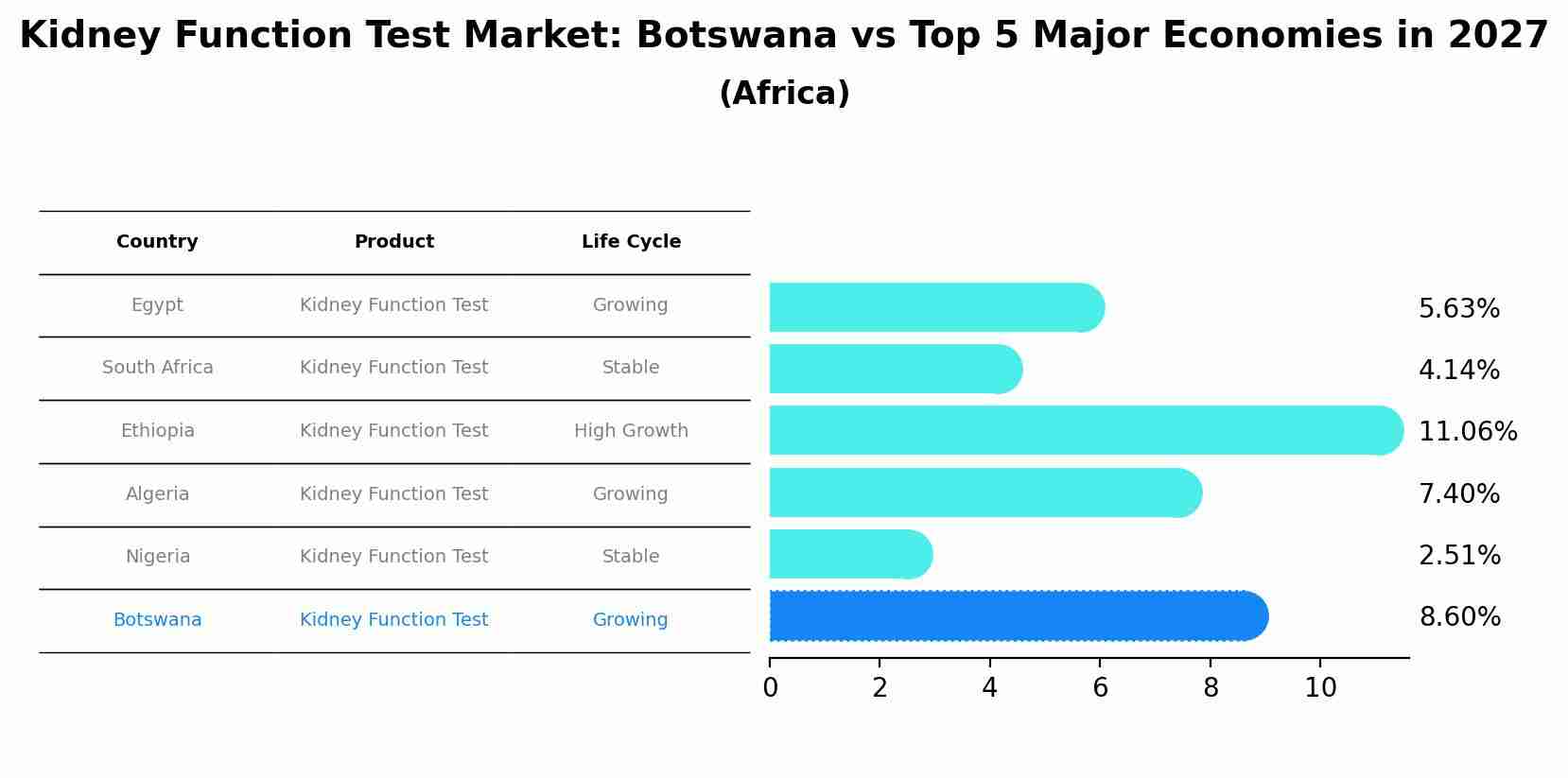 Kidney Function Test Market: Botswana vs Top 5 Major Economies in 2027 (Africa)