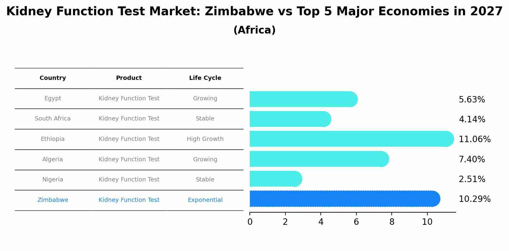 Kidney Function Test Market: Zimbabwe vs Top 5 Major Economies in 2027 (Africa)