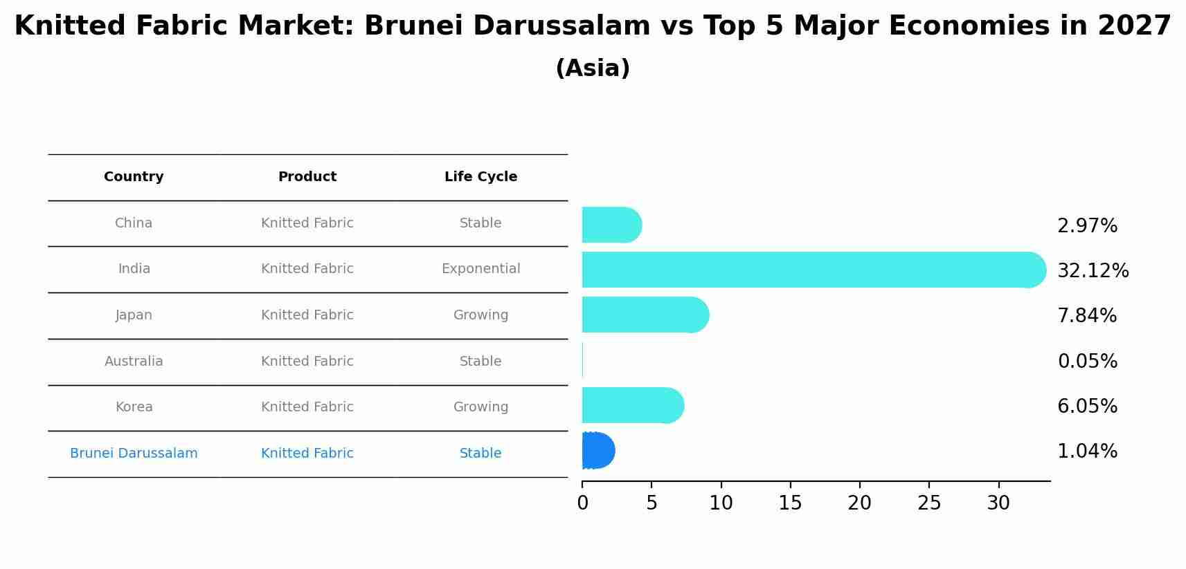 Knitted Fabric Market: Brunei Darussalam vs Top 5 Major Economies in 2027 (Asia)
