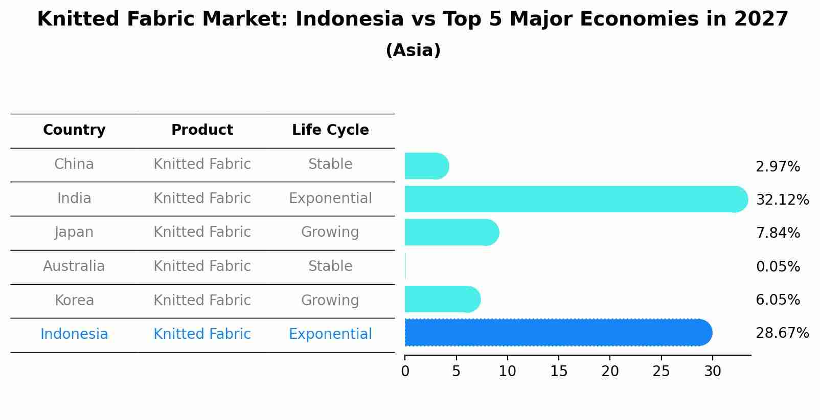 Knitted Fabric Market: Indonesia vs Top 5 Major Economies in 2027 (Asia)