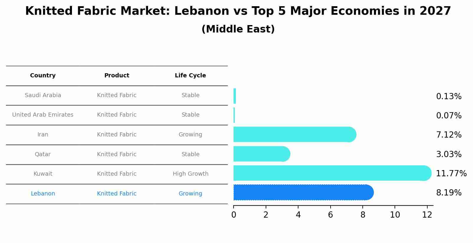 Knitted Fabric Market: Lebanon vs Top 5 Major Economies in 2027 (Middle East)