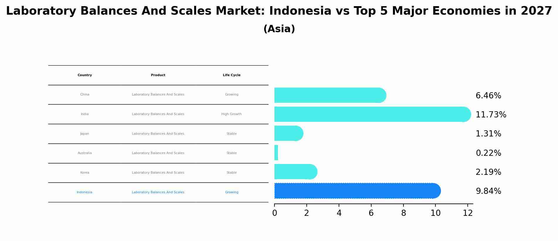 Laboratory Balances And Scales Market: Indonesia vs Top 5 Major Economies in 2027 (Asia)
