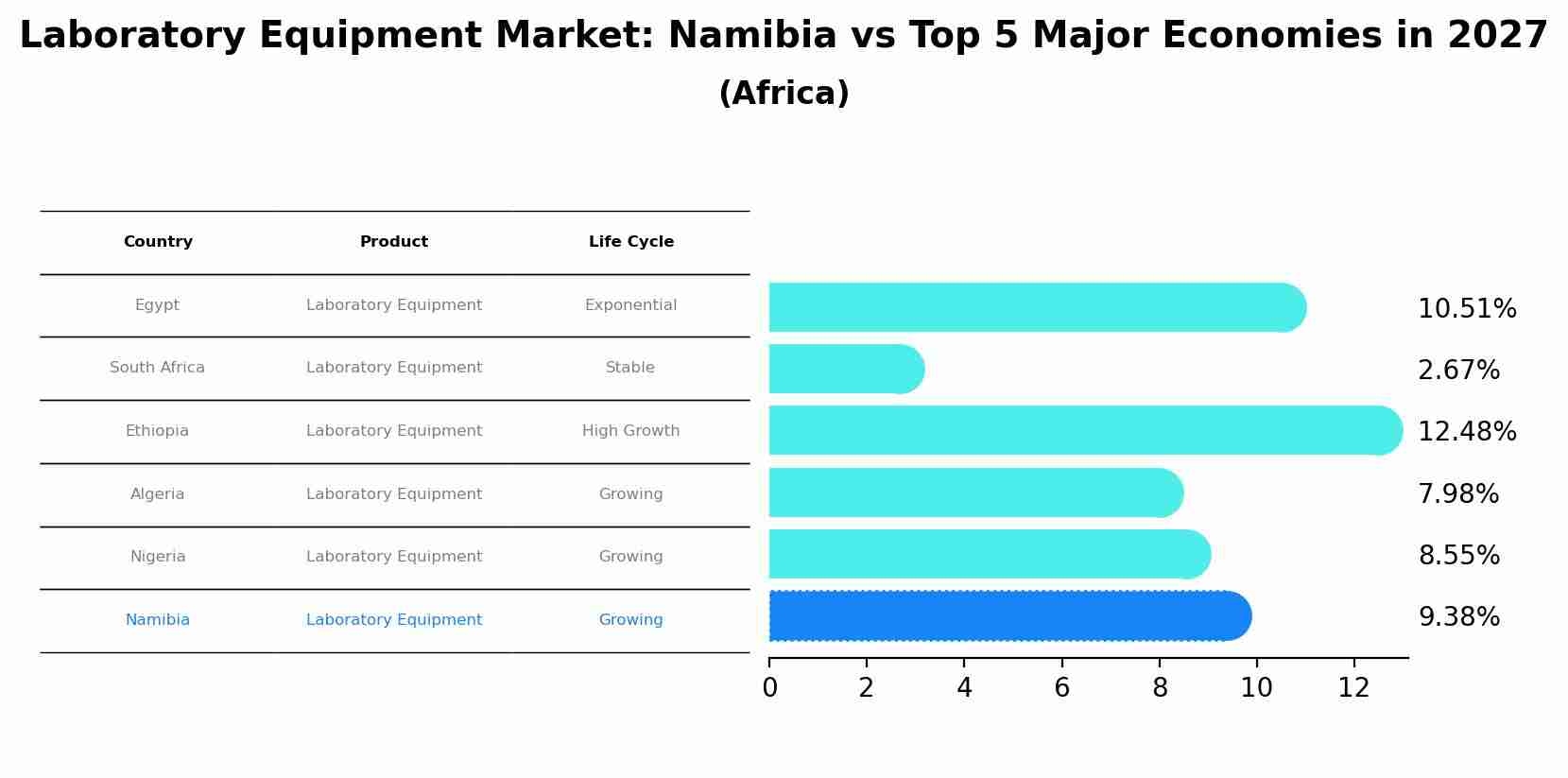 Laboratory Equipment Market: Namibia vs Top 5 Major Economies in 2027 (Africa)