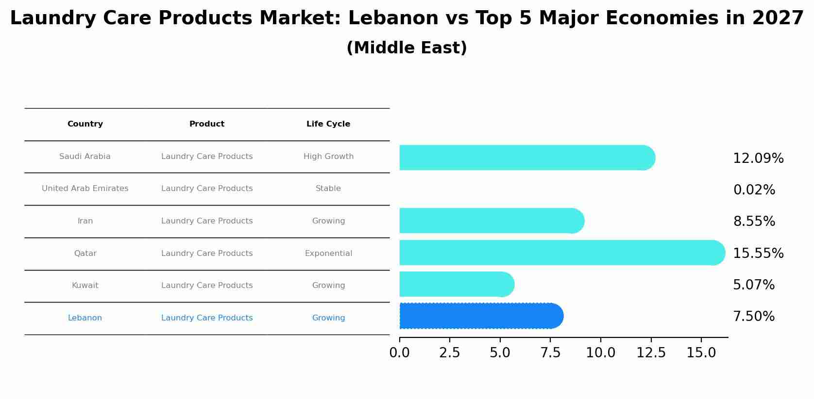 Laundry Care Products Market: Lebanon vs Top 5 Major Economies in 2027 (Middle East)