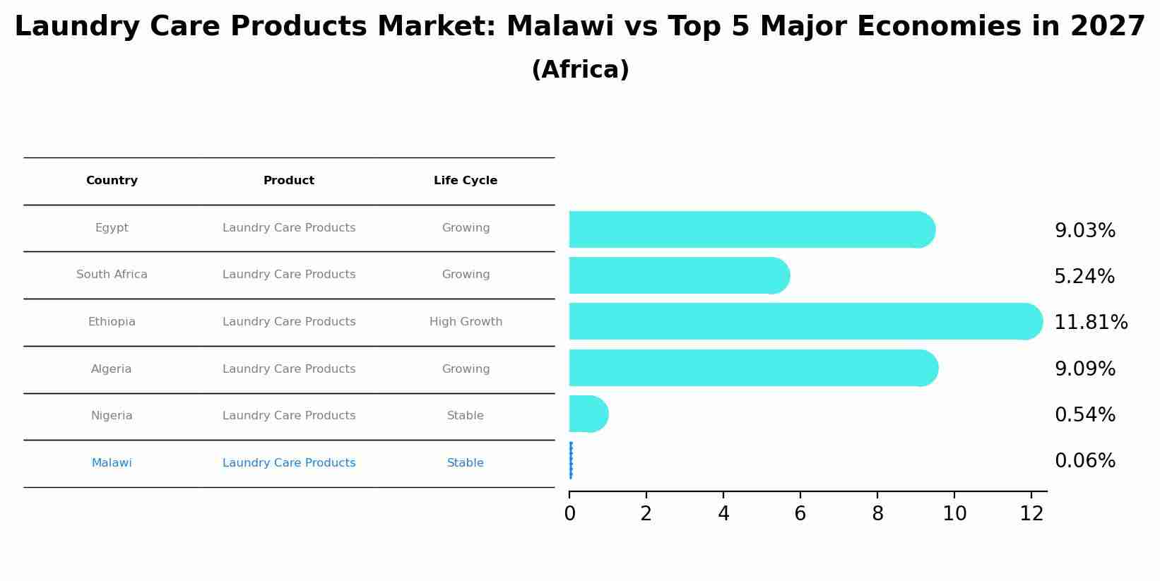 Laundry Care Products Market: Malawi vs Top 5 Major Economies in 2027 (Africa)