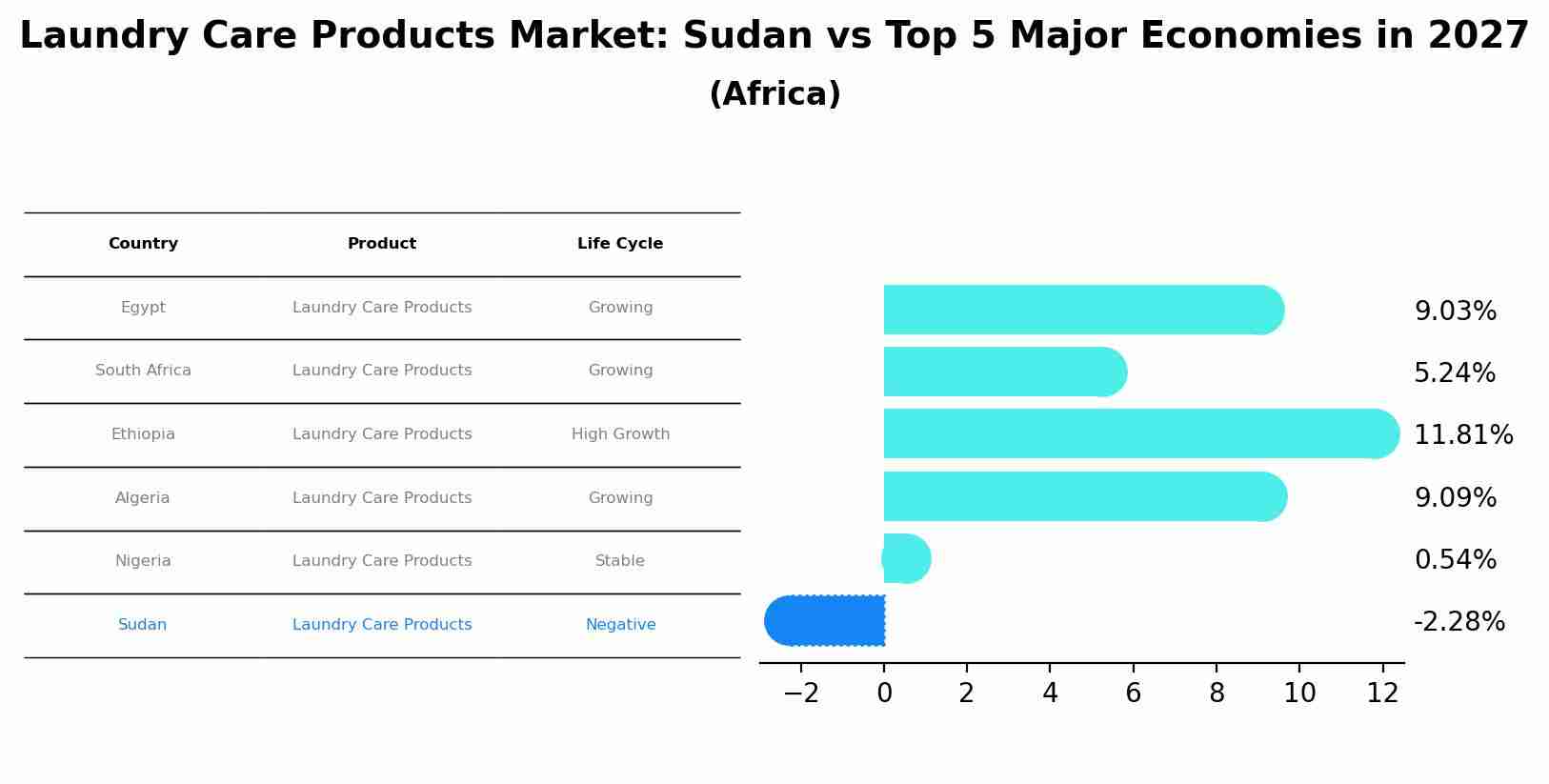 Laundry Care Products Market: Sudan vs Top 5 Major Economies in 2027 (Africa)