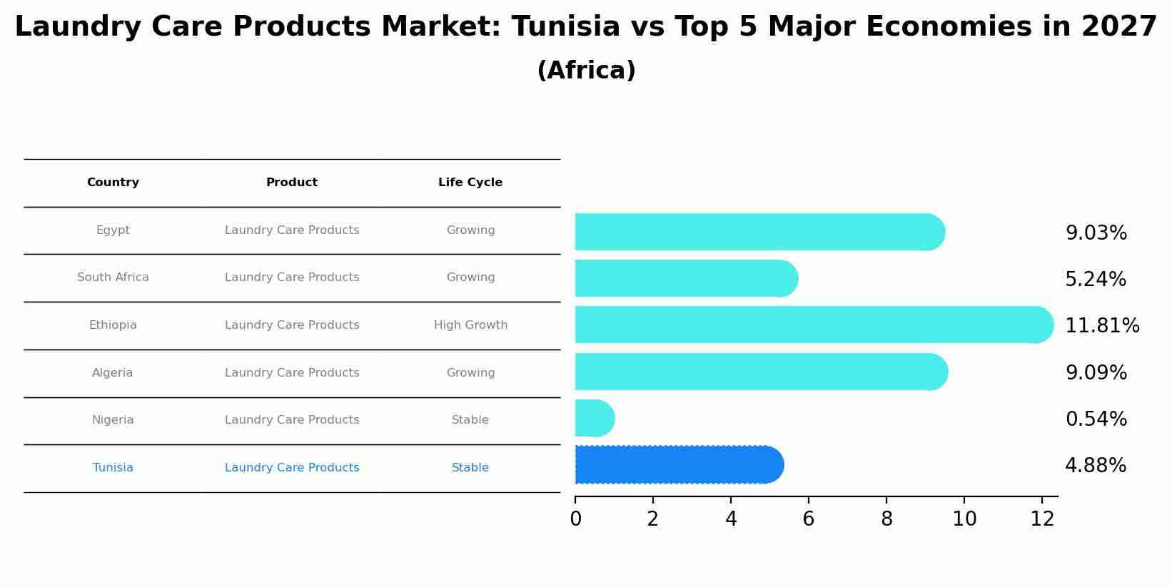Laundry Care Products Market: Tunisia vs Top 5 Major Economies in 2027 (Africa)