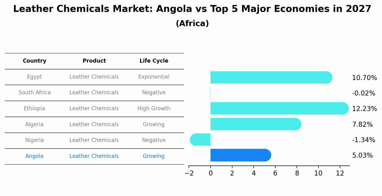Leather Chemicals Market: Angola vs Top 5 Major Economies in 2027 (Africa)