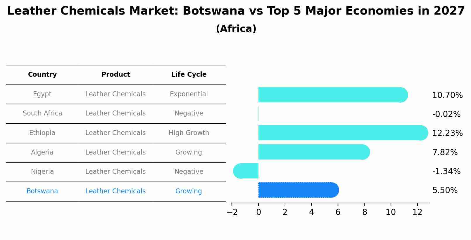 Leather Chemicals Market: Botswana vs Top 5 Major Economies in 2027 (Africa)