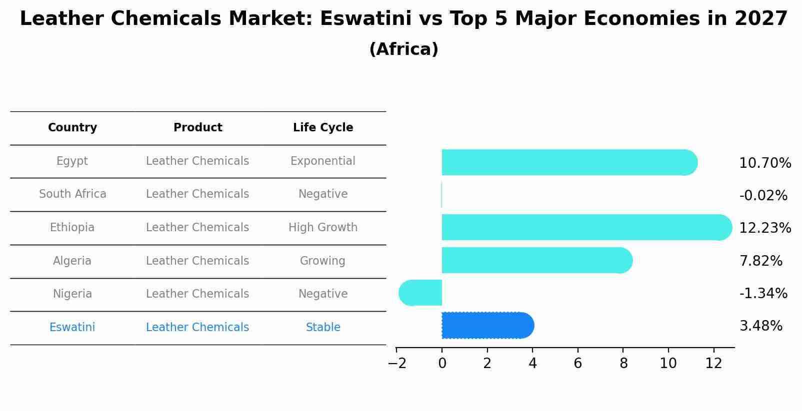 Leather Chemicals Market: Eswatini vs Top 5 Major Economies in 2027 (Africa)