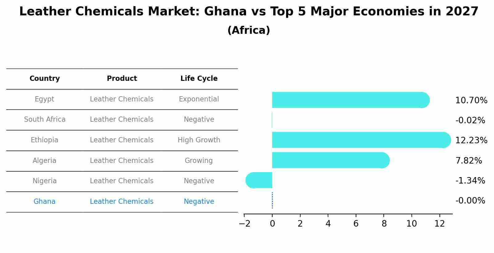 Leather Chemicals Market: Ghana vs Top 5 Major Economies in 2027 (Africa)