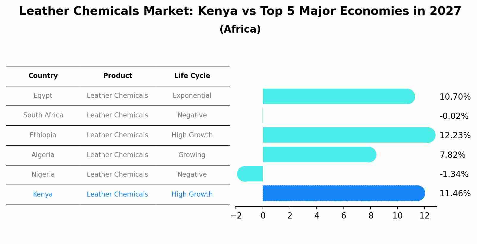 Leather Chemicals Market: Kenya vs Top 5 Major Economies in 2027 (Africa)
