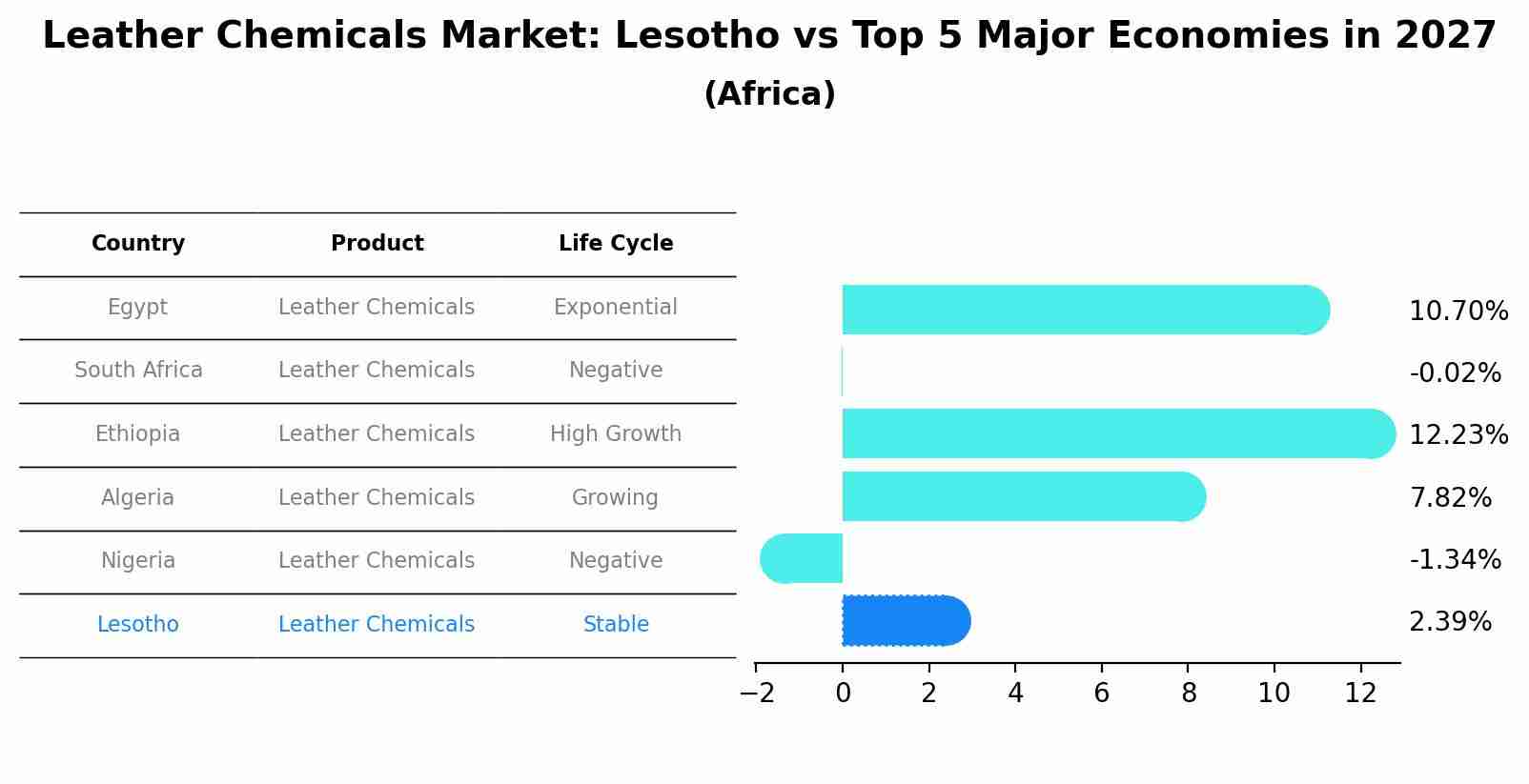 Leather Chemicals Market: Lesotho vs Top 5 Major Economies in 2027 (Africa)