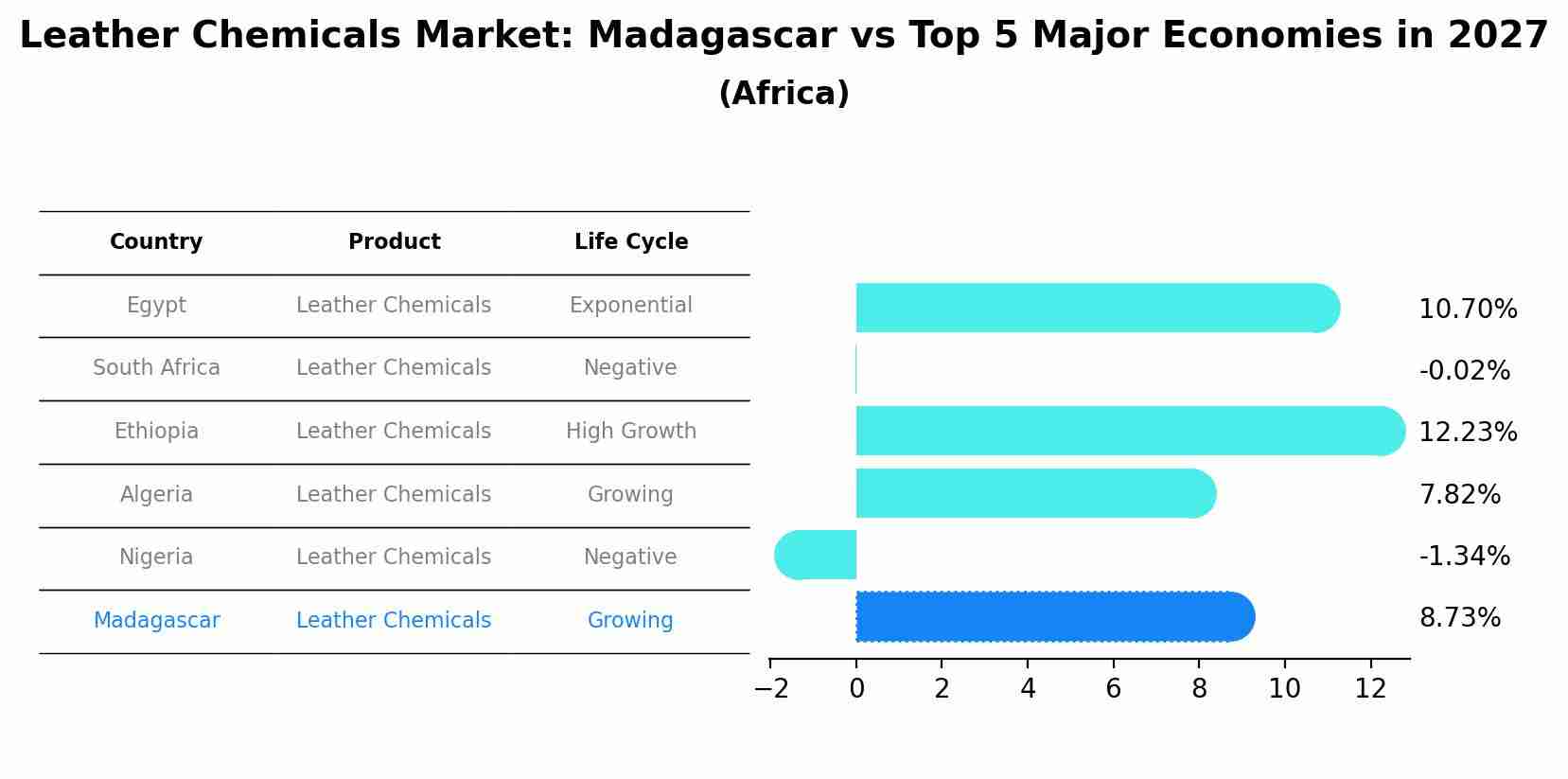 Leather Chemicals Market: Madagascar vs Top 5 Major Economies in 2027 (Africa)