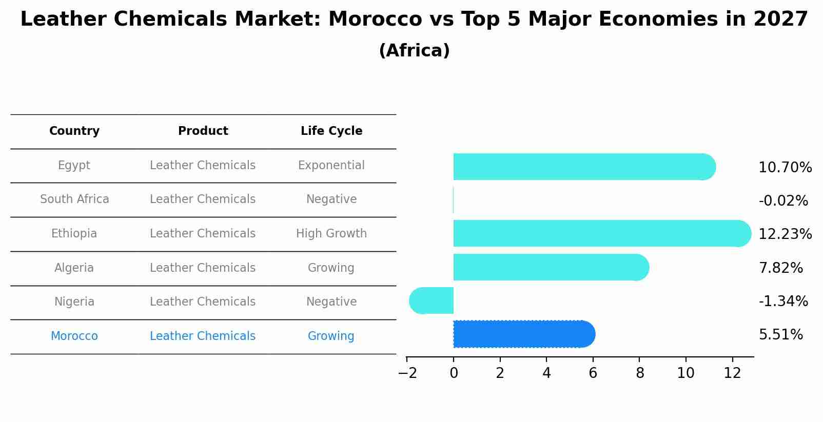 Leather Chemicals Market: Morocco vs Top 5 Major Economies in 2027 (Africa)