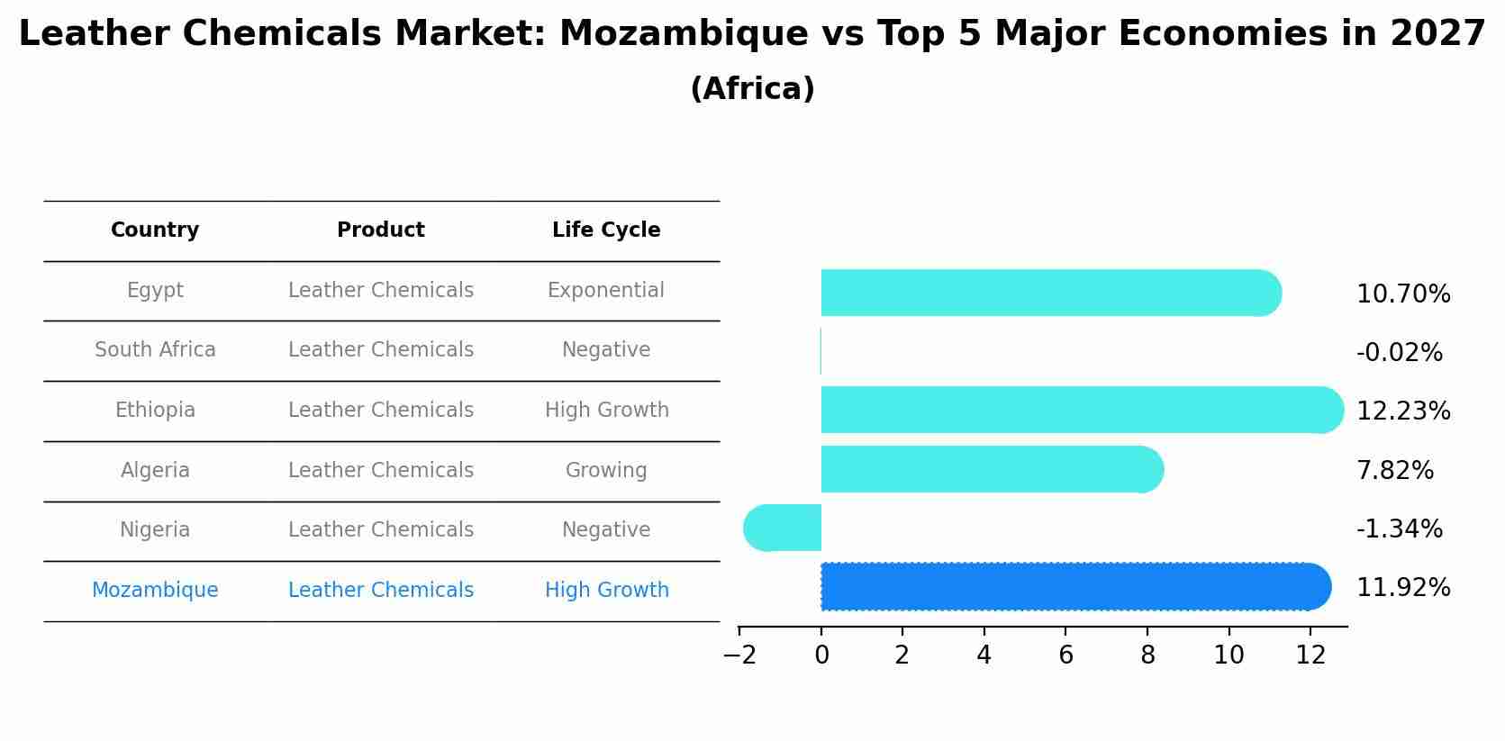 Leather Chemicals Market: Mozambique vs Top 5 Major Economies in 2027 (Africa)