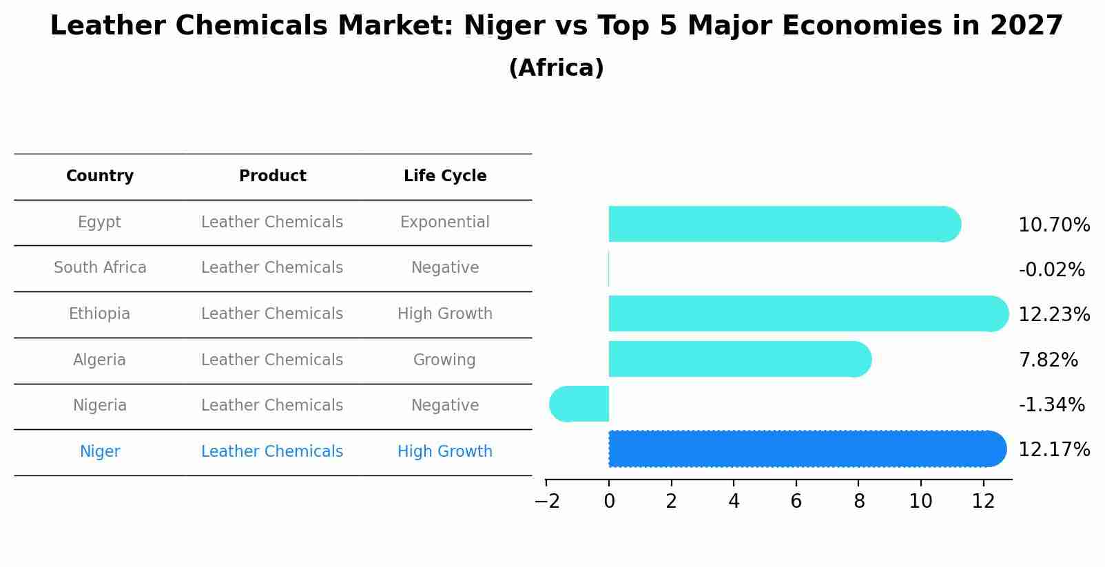 Leather Chemicals Market: Niger vs Top 5 Major Economies in 2027 (Africa)