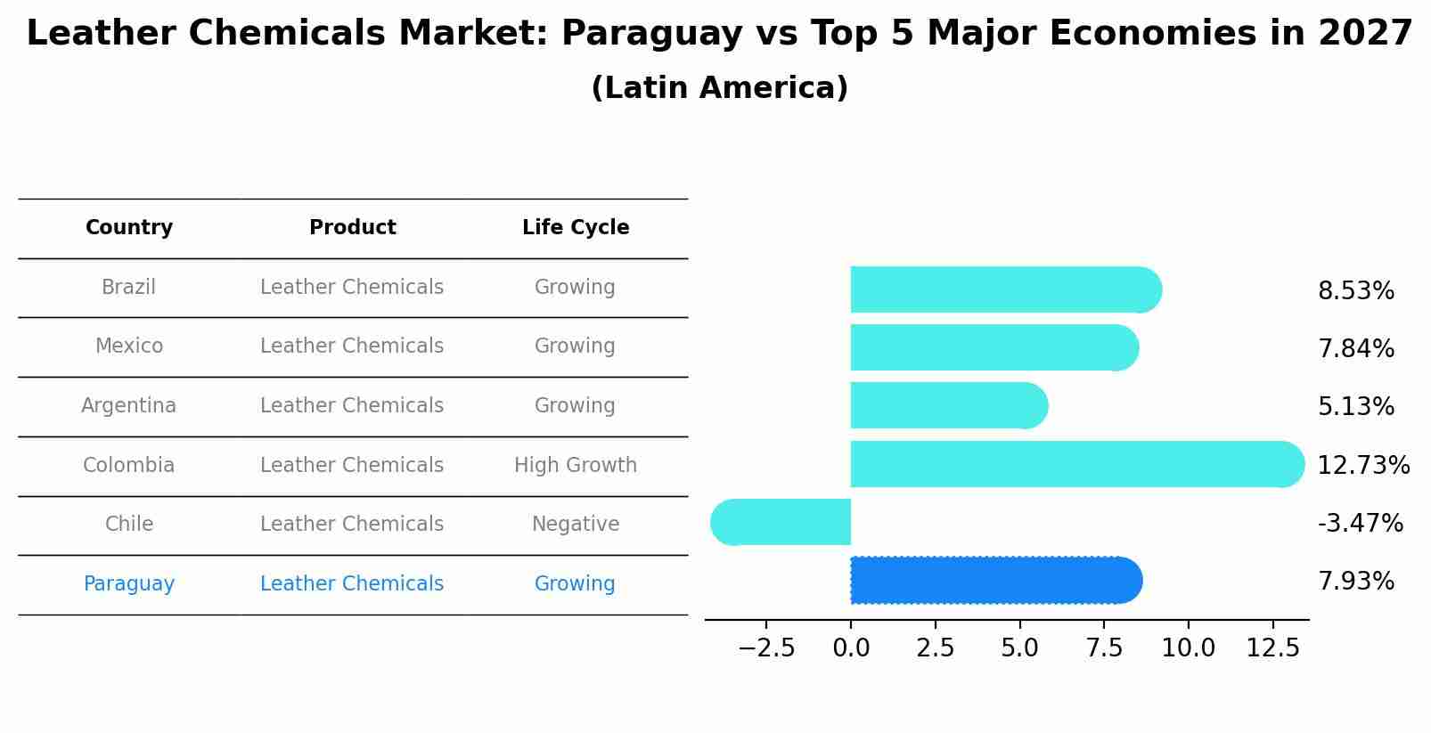 Leather Chemicals Market: Paraguay vs Top 5 Major Economies in 2027 (Latin America)