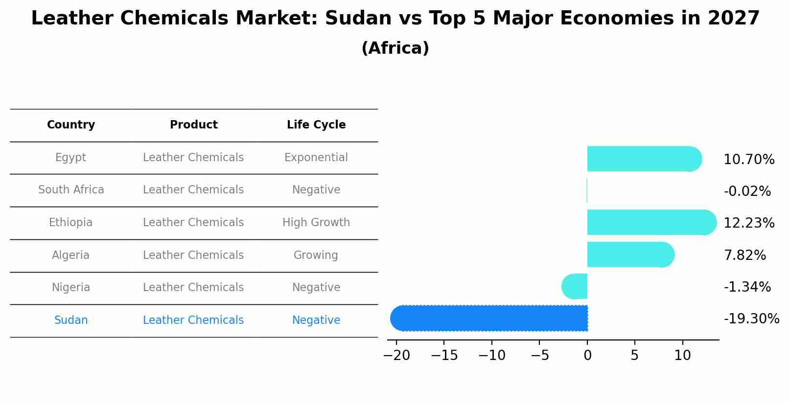 Leather Chemicals Market: Sudan vs Top 5 Major Economies in 2027 (Africa)