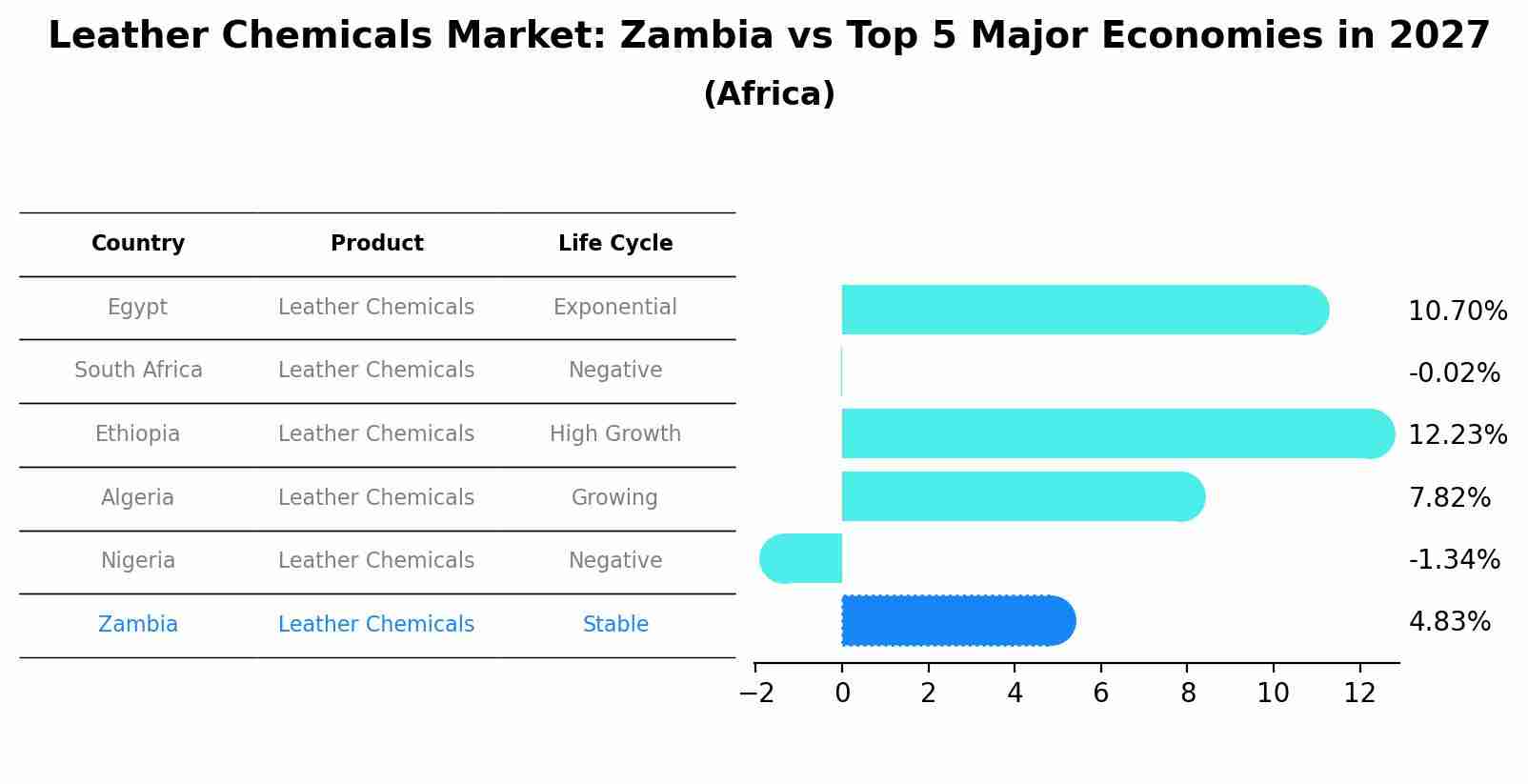 Leather Chemicals Market: Zambia vs Top 5 Major Economies in 2027 (Africa)